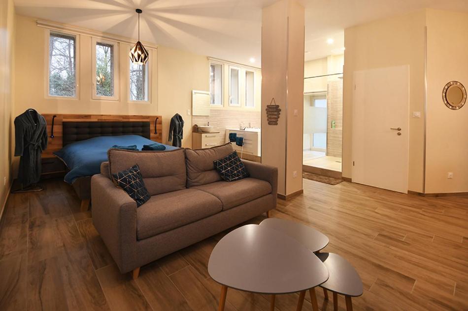 Appartement Loft Detente 스트라스부르 외부 사진